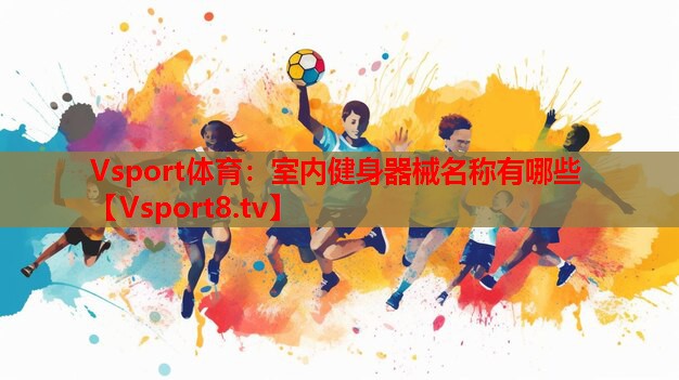 Vsport體育：室內(nèi)健身器械名稱(chēng)有哪些