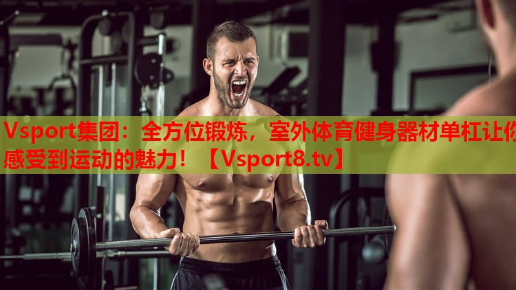 Vsport集團(tuán)：全方位鍛煉，室外體育健身器材單杠讓你感受到運(yùn)動(dòng)的魅力！